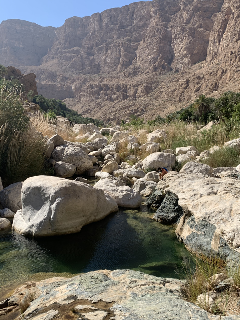 02BF6EA3 79FA 4597 ADC2 8EB8DF201E73 1 105 c